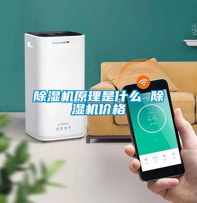 国产精品欧美激情视频 除湿机原理是什么 除湿机价格