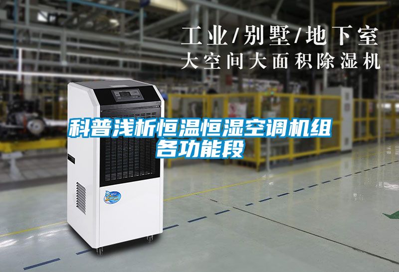 国产精品三级在线观看 科普浅析恒温恒湿空调机组各功能段