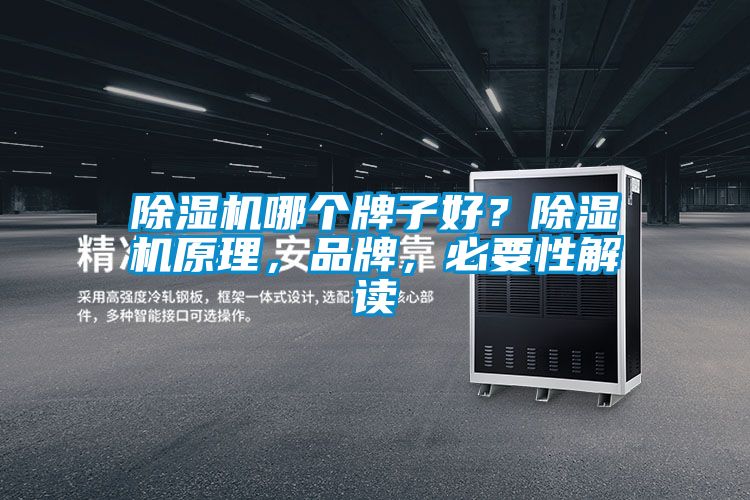 国产精品三级在线观看 除湿机哪个牌子好？除湿机原理，品牌，必要性解读