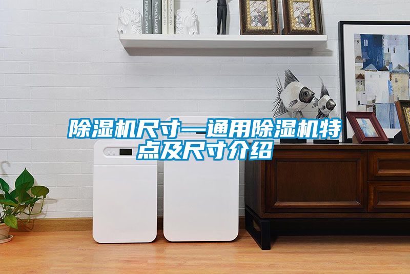 国产精品欧美激情视频 除湿机尺寸—通用除湿机特点及尺寸介绍