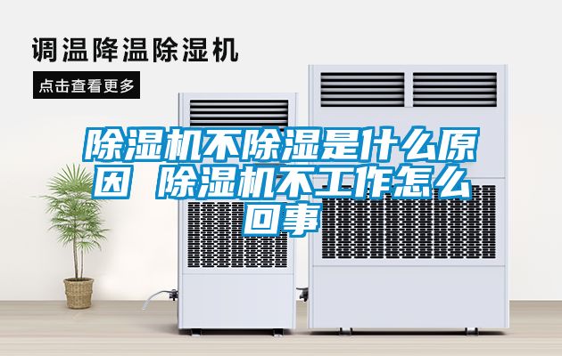 国产精品探花在线观看 除湿机不除湿是什么原因 除湿机不工作怎么回事