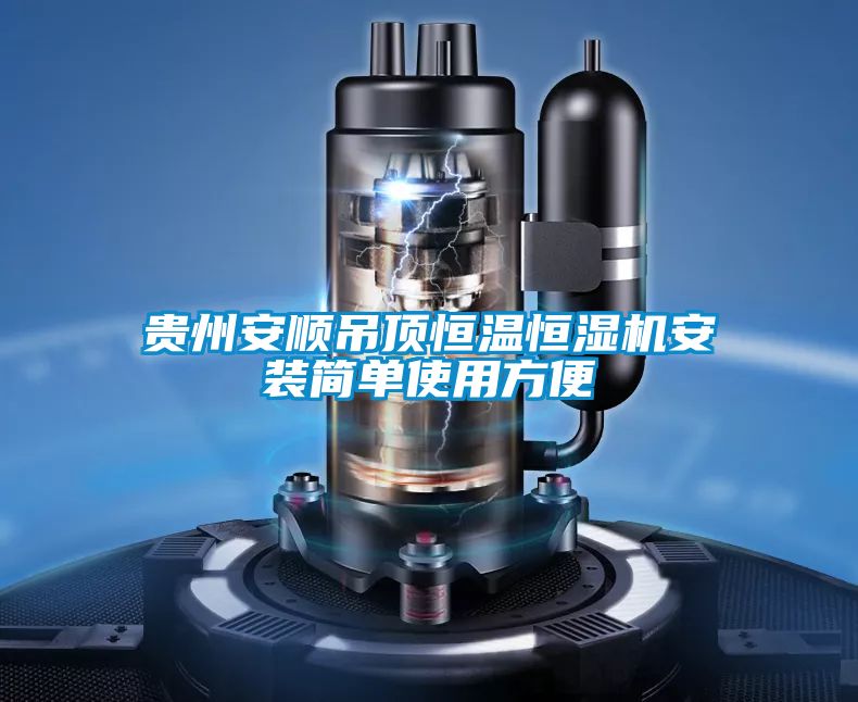 国产精品欧美激情视频 贵州安顺吊顶恒温恒湿机安装简单使用方便