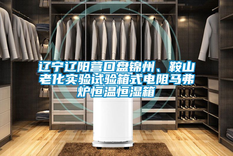 国产精品探花在线观看 辽宁辽阳营口盘锦州、鞍山老化实验试验箱式电阻马弗炉恒温恒湿箱