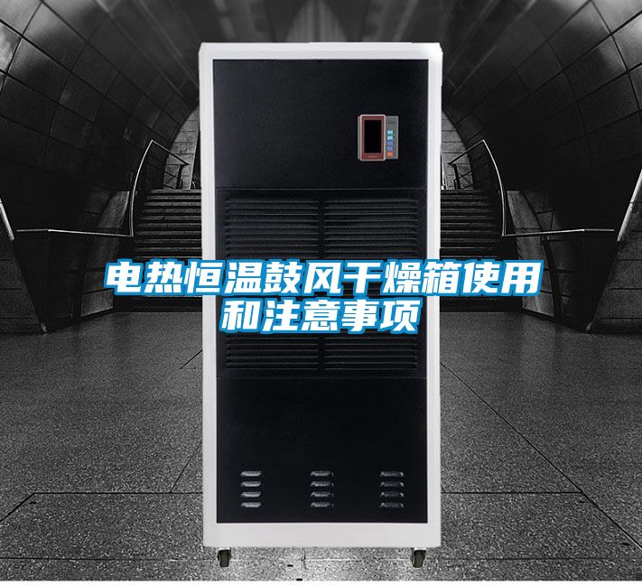国产精品三级在线观看 电热恒温鼓风干燥箱使用和注意事项