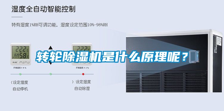 国产精品三级在线观看 转轮除湿机是什么原理呢？