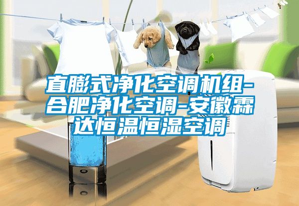 国产精品欧美激情视频 直膨式净化空调机组-合肥净化空调-安徽霖达恒温恒湿空调