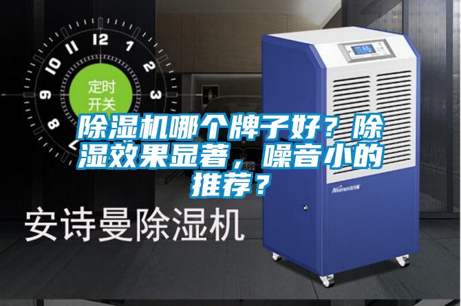 国产精品欧美激情视频 除湿机哪个牌子好？除湿效果显著，噪音小的推荐？