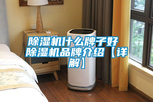 国产精品欧美激情视频 除湿机什么牌子好 除湿机品牌介绍【详解】