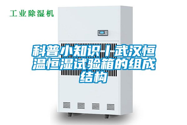 国产精品欧美激情视频 科普小知识丨武汉恒温恒湿试验箱的组成结构
