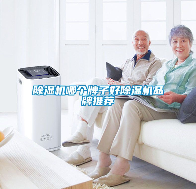 国产精品三级在线观看 除湿机哪个牌子好除湿机品牌推荐