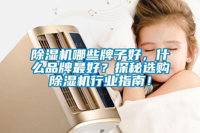 国产精品探花在线观看 除湿机哪些牌子好，什么品牌最好？探秘选购除湿机行业指南！