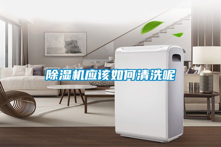 国产精品三级在线观看 除湿机应该如何清洗呢