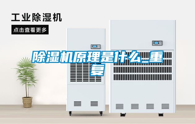 国产精品探花在线观看 除湿机原理是什么_重复