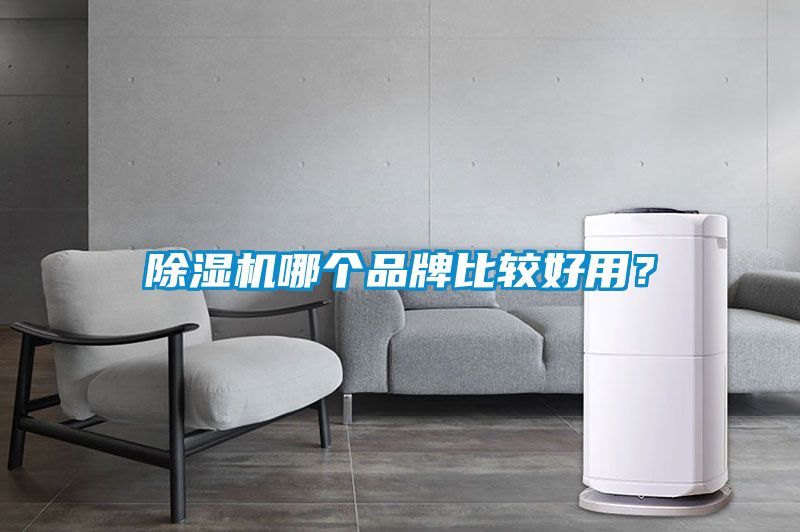 国产精品欧美激情视频 除湿机哪个品牌比较好用？
