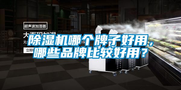 国产精品三级在线观看 除湿机哪个牌子好用，哪些品牌比较好用？
