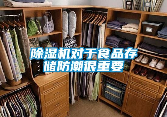 国产精品欧美激情视频 除湿机对于食品存储防潮很重要