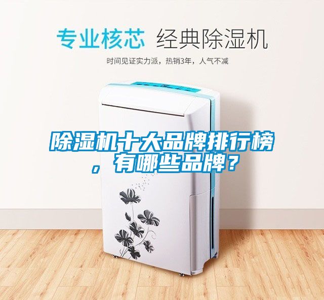 国产精品探花在线观看 除湿机十大品牌排行榜，有哪些品牌？