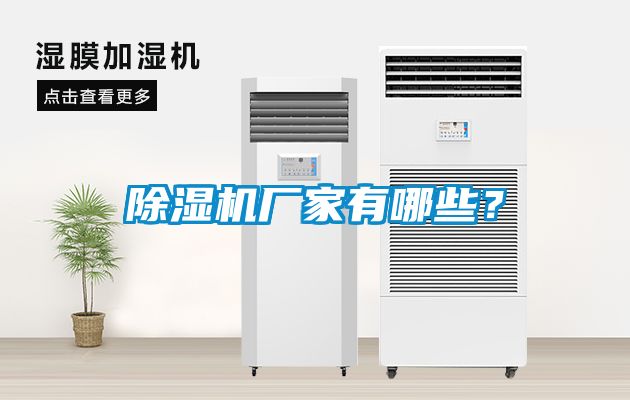 国产精品探花在线观看 除湿机厂家有哪些？