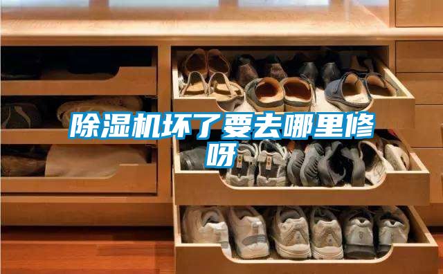 国产精品三级在线观看 除湿机坏了要去哪里修呀