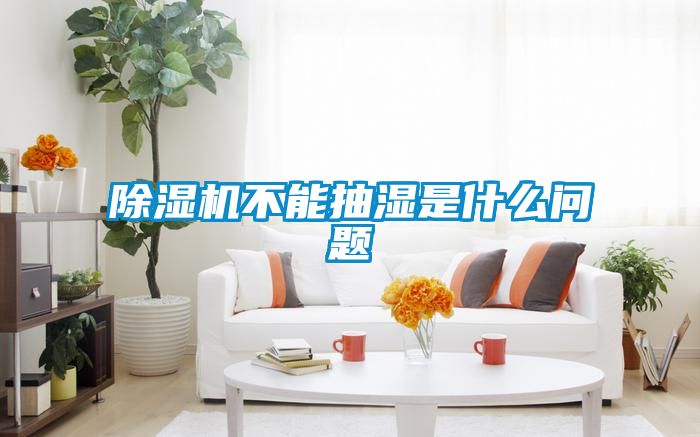 国产精品欧美激情视频 除湿机不能抽湿是什么问题