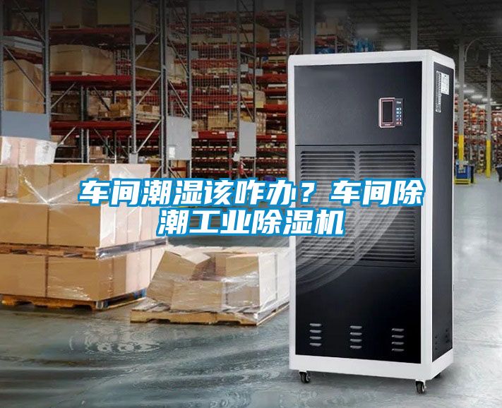 国产精品三级在线观看 车间潮湿该咋办？车间除潮工业除湿机