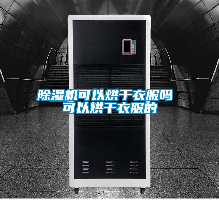 国产精品三级在线观看 除湿机可以烘干衣服吗 可以烘干衣服的