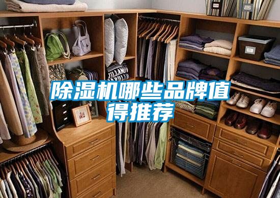 国产精品探花在线观看 除湿机哪些品牌值得推荐