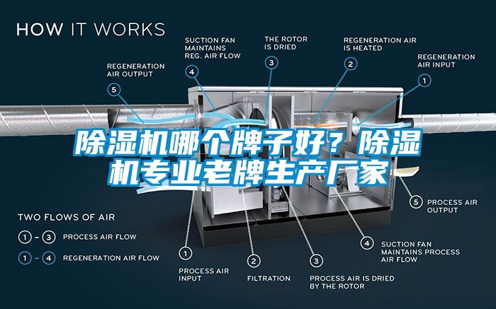 国产精品欧美激情视频 除湿机哪个牌子好？除湿机专业老牌生产厂家