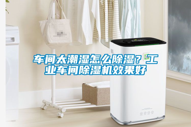 国产精品三级在线观看 车间太潮湿怎么除湿？工业车间除湿机效果好