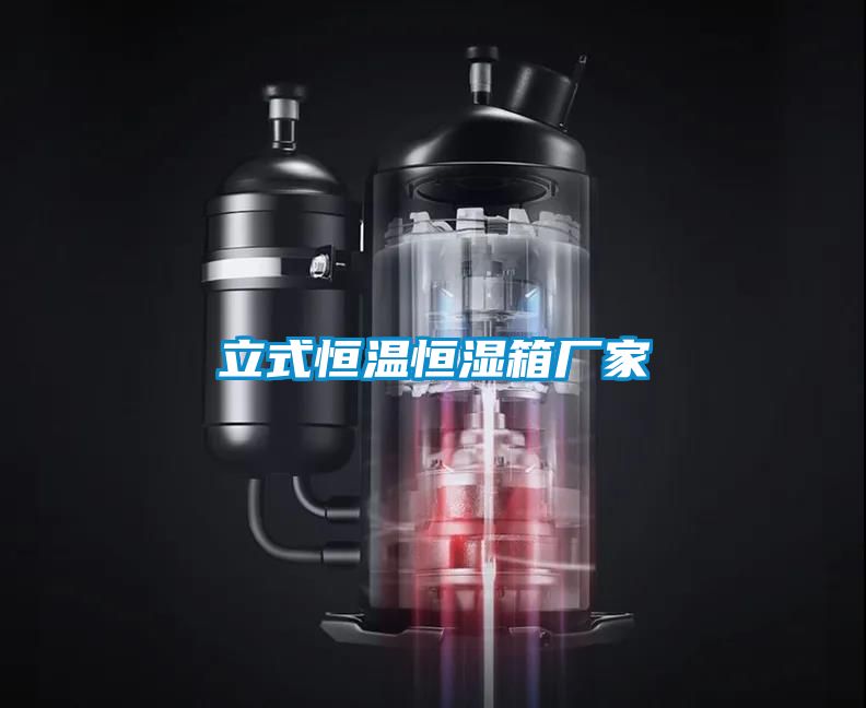 国产精品三级在线观看 立式恒温恒湿箱厂家