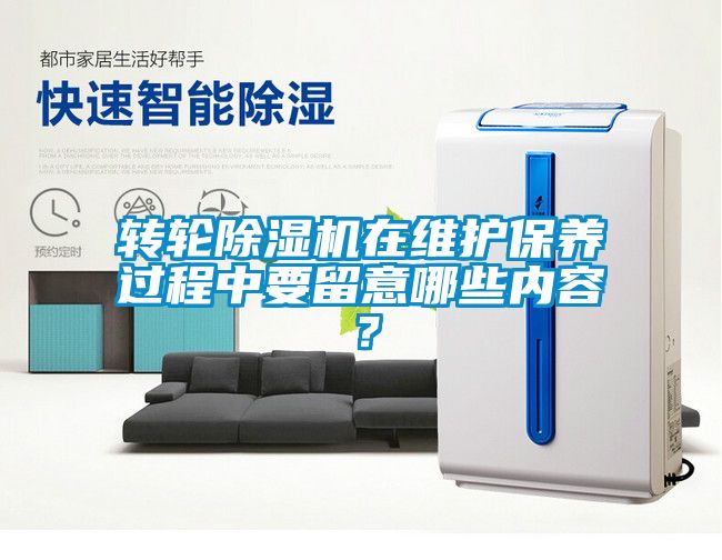 国产精品三级在线观看 转轮除湿机在维护保养过程中要留意哪些内容？