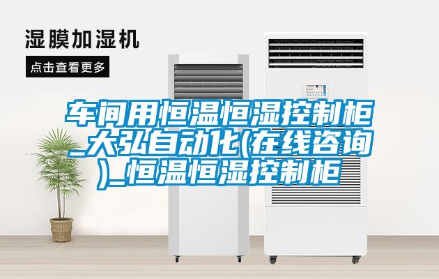国产精品欧美激情视频 车间用恒温恒湿控制柜_大弘自动化(在线咨询)_恒温恒湿控制柜