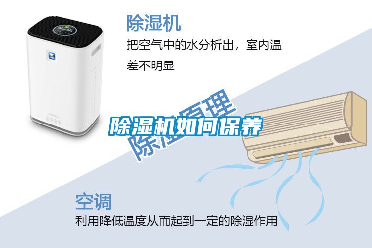 国产精品三级在线观看 除湿机如何保养