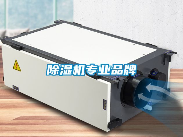 国产精品欧美激情视频 除湿机专业品牌