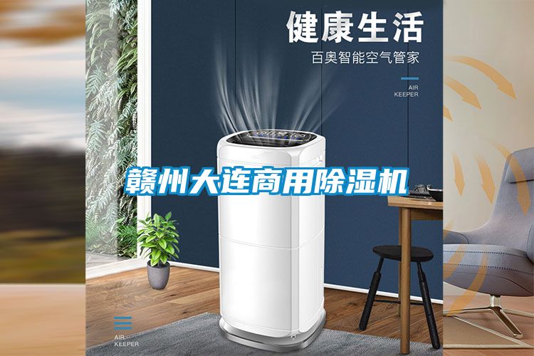 国产精品探花在线观看 赣州大连商用除湿机