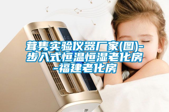 国产精品探花在线观看 茸隽实验仪器厂家(图)-步入式恒温恒湿老化房-福建老化房