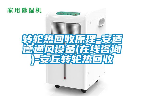 国产精品探花在线观看 转轮热回收原理-安适德通风设备(在线咨询)-安丘转轮热回收