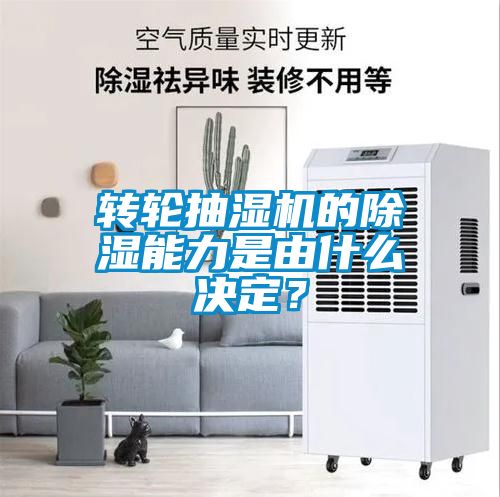 国产精品欧美激情视频 转轮抽湿机的除湿能力是由什么决定？