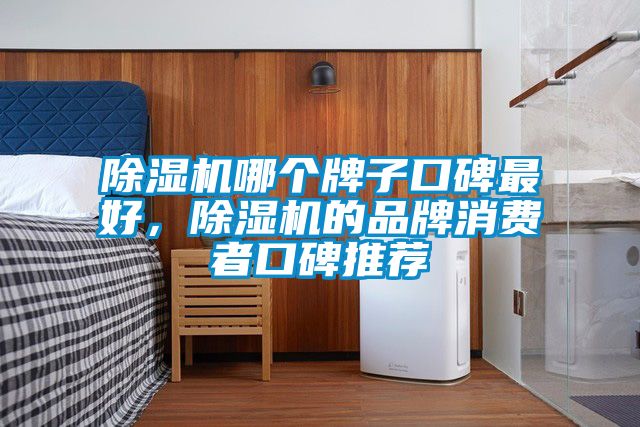 国产精品欧美激情视频 除湿机哪个牌子口碑最好，除湿机的品牌消费者口碑推荐