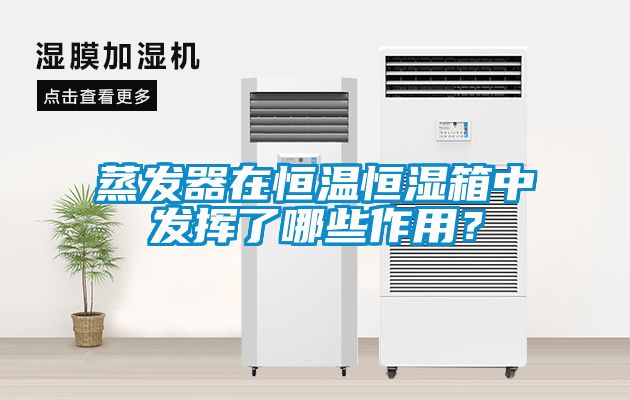 国产精品欧美激情视频 蒸发器在恒温恒湿箱中发挥了哪些作用？