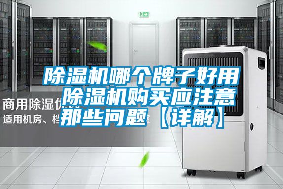 国产精品欧美激情视频 除湿机哪个牌子好用 除湿机购买应注意那些问题【详解】