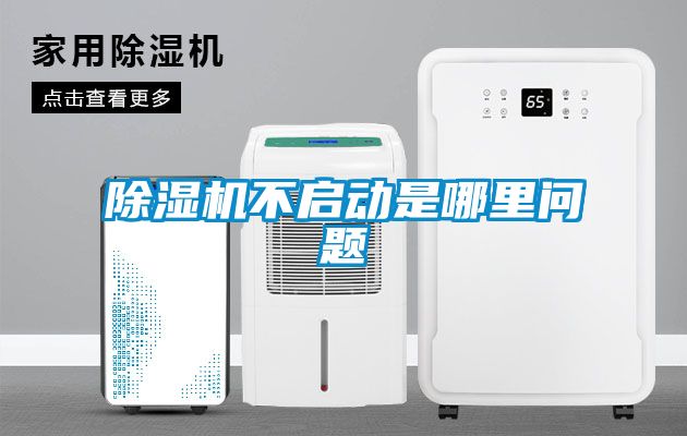 国产精品三级在线观看 除湿机不启动是哪里问题