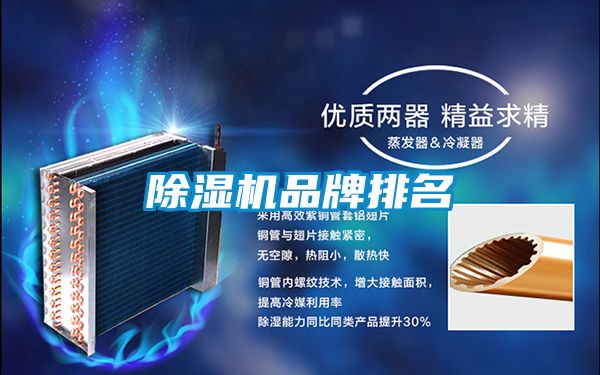国产精品三级在线观看 除湿机品牌排名