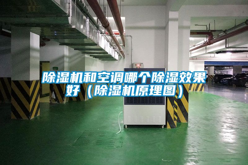 国产精品三级在线观看 除湿机和空调哪个除湿效果好（除湿机原理图）