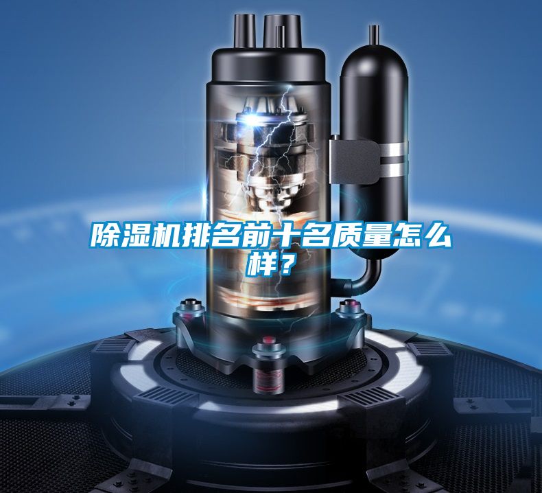 国产精品欧美激情视频 除湿机排名前十名质量怎么样？