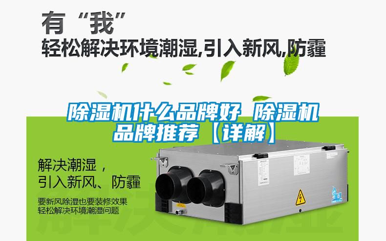 国产精品探花在线观看 除湿机什么品牌好 除湿机品牌推荐【详解】