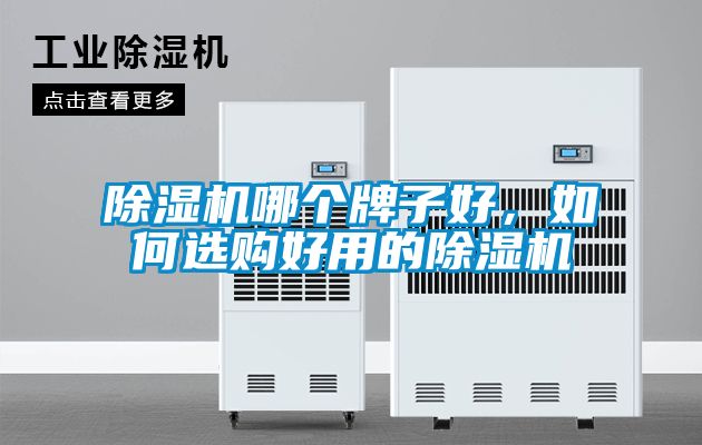 国产精品探花在线观看 除湿机哪个牌子好，如何选购好用的除湿机