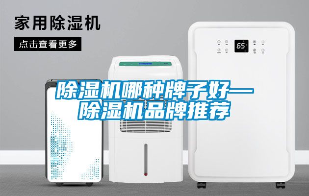 国产精品三级在线观看 除湿机哪种牌子好—除湿机品牌推荐