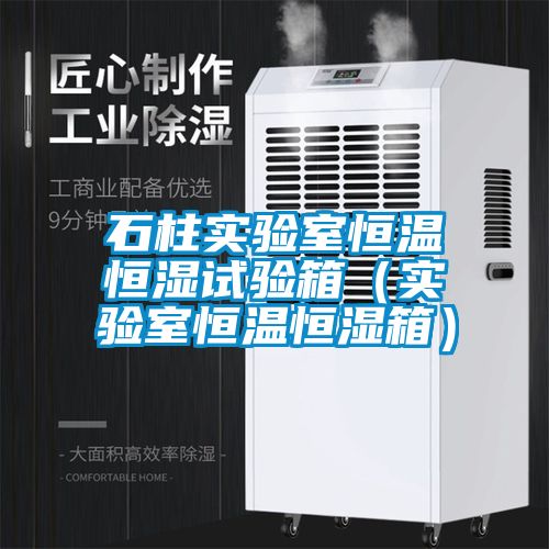 国产精品欧美激情视频 石柱实验室恒温恒湿试验箱（实验室恒温恒湿箱）