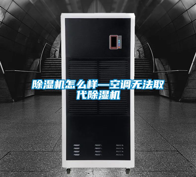 国产精品三级在线观看 除湿机怎么样—空调无法取代除湿机